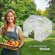 image 8 of Aluminium greenhouse, UV-resistant, 185x250x195cm