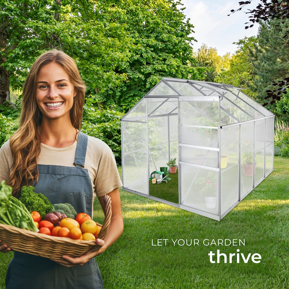 image 1 of Aluminium greenhouse, UV-resistant, 185x250x195cm