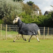 Rhinegold Elite Full Neck Montpelier Rug Black | Colour: Black/White Check
Size: 7ft 0