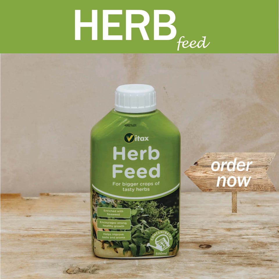 image 1 of Vitax Liquid Herb Feed 500ml Fast-Acting Seaweed Enriched Nutrient Formula for Bigger Healthier Flavourful Herbs