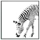 image 3 of Zebra (Picture Frame) Black | S