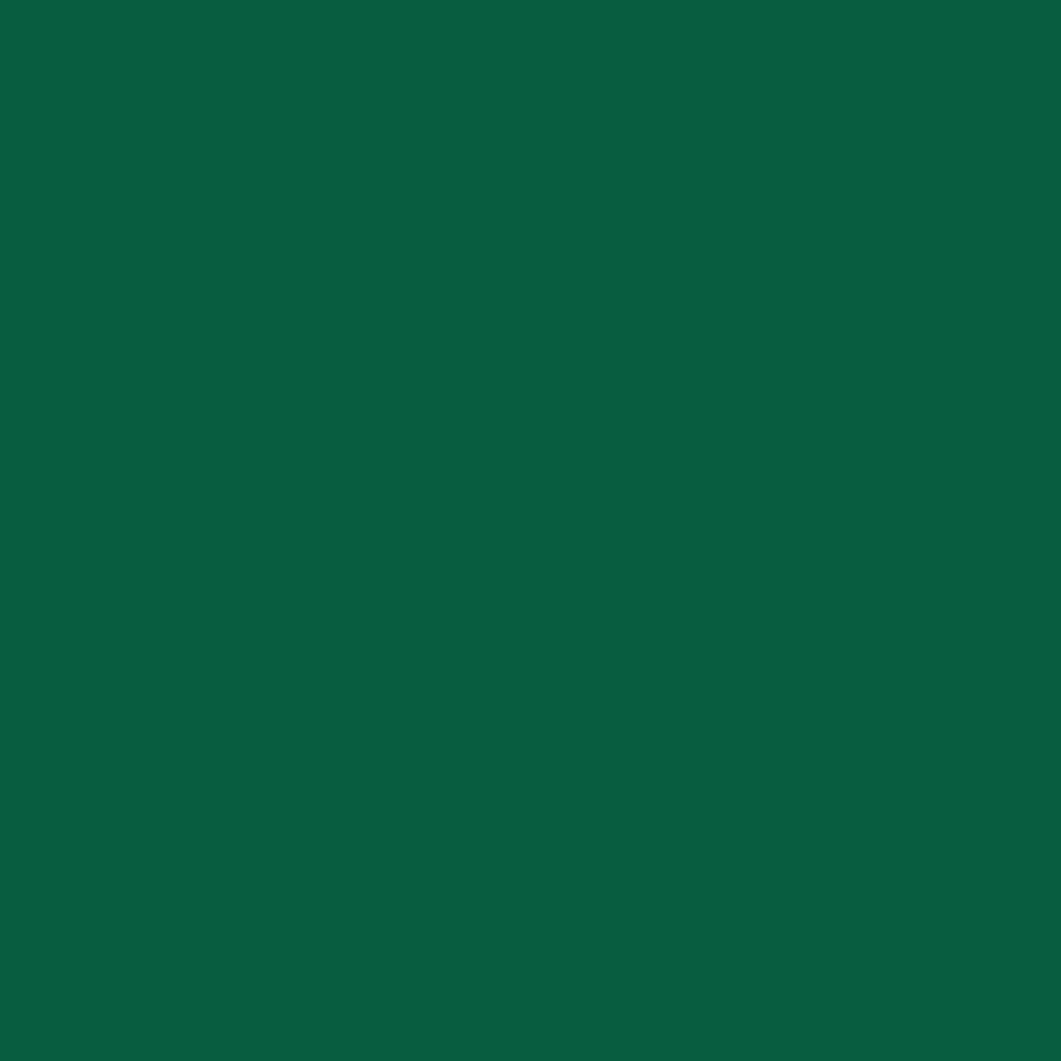 image 1 of Rhino 80 Page 8mm Lined Exercise Book Dark Green A4 - 10 Pack