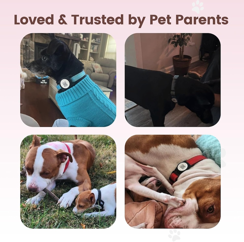 image 1 of AirTag Dog Collar Holder & Free App Pet Tracker Smart QR ID