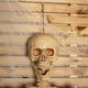 image 5 of 5ft (150cm) Posable Full Body Halloween LED Skeleton Decoration with Movable Joints and LED Eyes