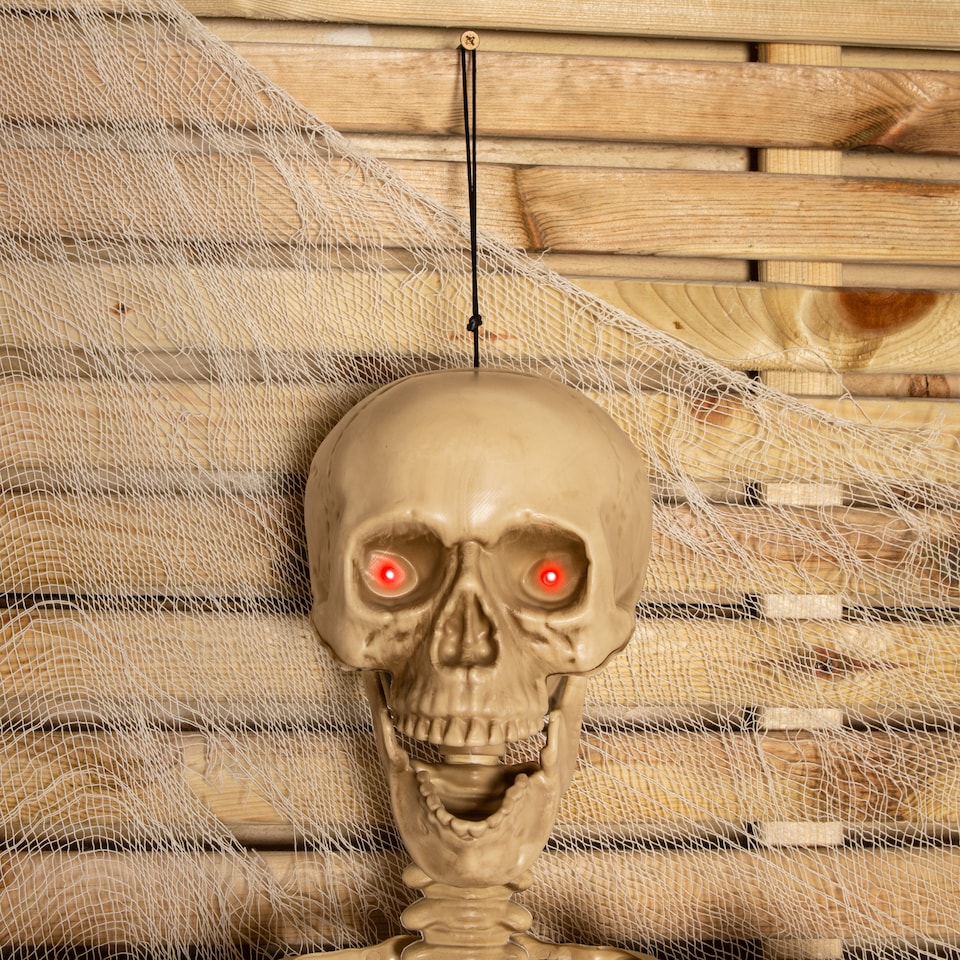 image 1 of 5ft (150cm) Posable Full Body Halloween LED Skeleton Decoration with Movable Joints and LED Eyes
