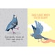 image 2 of Positivity Pigeon Book