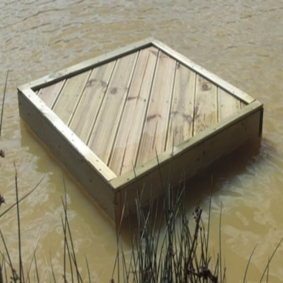 image 1 of Extra Small Square Duck Float - L76.2 x W76.2 cm Brown | One Size