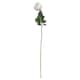 image 1 of Hill Interiors Artificial Single Stem Tea Rose - Palest Pink - 65cm