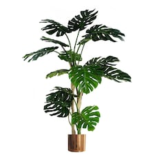 150cm (5ft) Luxury Monstera Plant Black Pot Copper Metal Planter