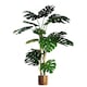 image 1 of 150cm (5ft) Luxury Monstera Plant Black Pot Copper Metal Planter