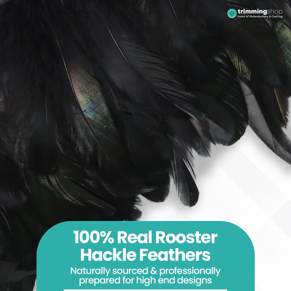 image 1 of Trimming Shop 2M Rooster Hackle Feather Fringe Trim for Creative Projects