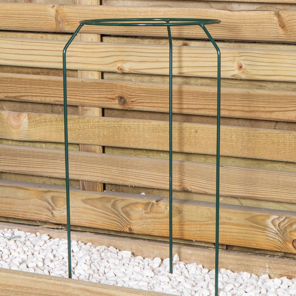 image 1 of Pack of 3 Tom Chambers Green Metal Herbaceous Garden Plant Support Rings Small