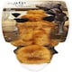 image 1 of All For Paws Fox Dog Toy with Squeaker Red
