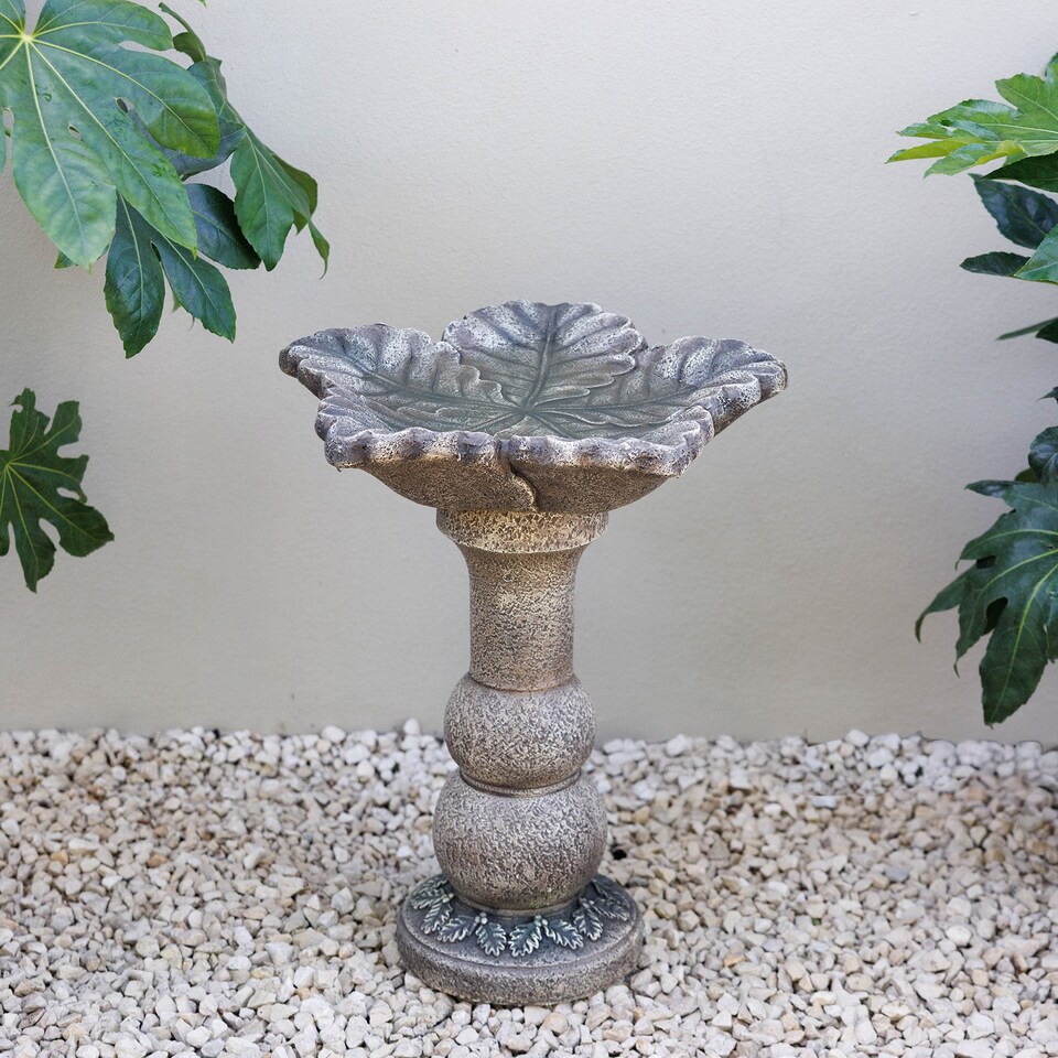 image 1 of Primrose Eden Leaf Design Decorative Grey Garden Bird Bath Table 62cm