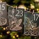 image 5 of Gift Advent Calendar Flower Seeds x 1