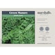 image 2 of Marshalls Garden Green Manure Seeds Winter Tares Sufficient for 30m2