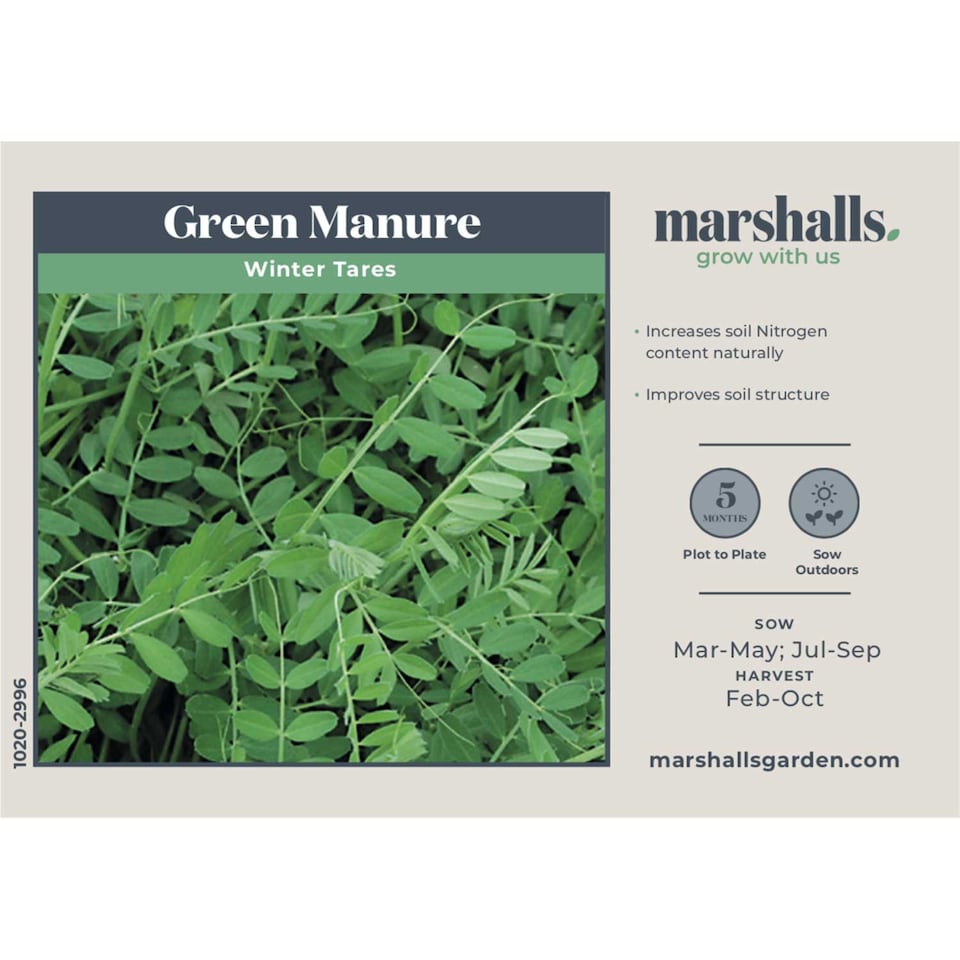 image 1 of Marshalls Garden Green Manure Seeds Winter Tares Sufficient for 30m2