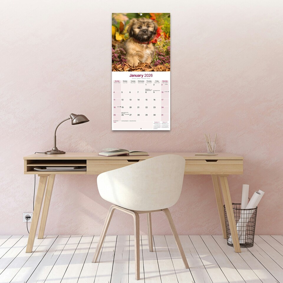 image 1 of Lhasa Apso 2026 Calendar | Square Wall Calendar | Dog Breed Gift | Plastic Free Packaging | by Avonside Publishing