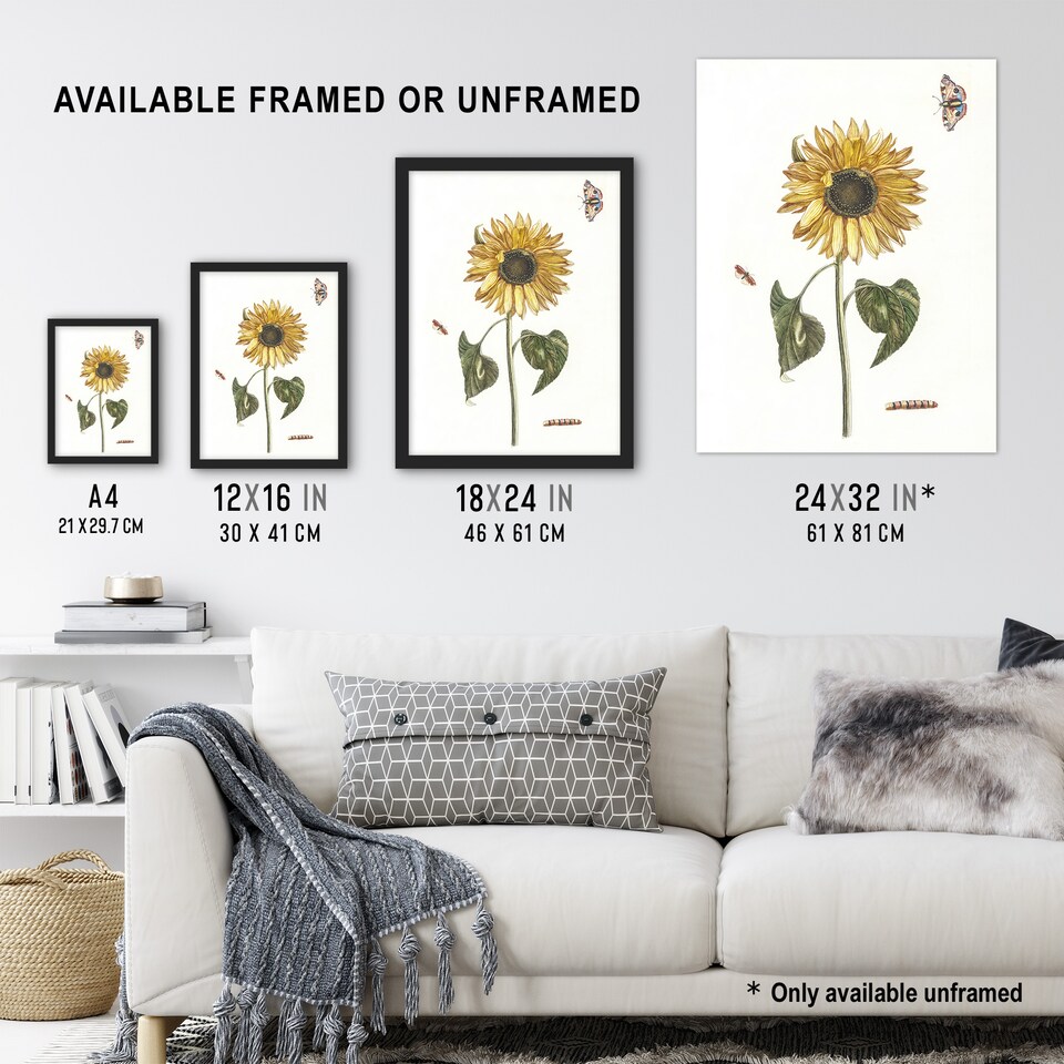 image 1 of Sunflower Caterpillar And Two Butterflies Teyler Huge Wall Art Poster Print