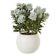 image 1 of Large Hydrangea Plant in Pot - Plastic - L55 x W55 x H71 cm - Green