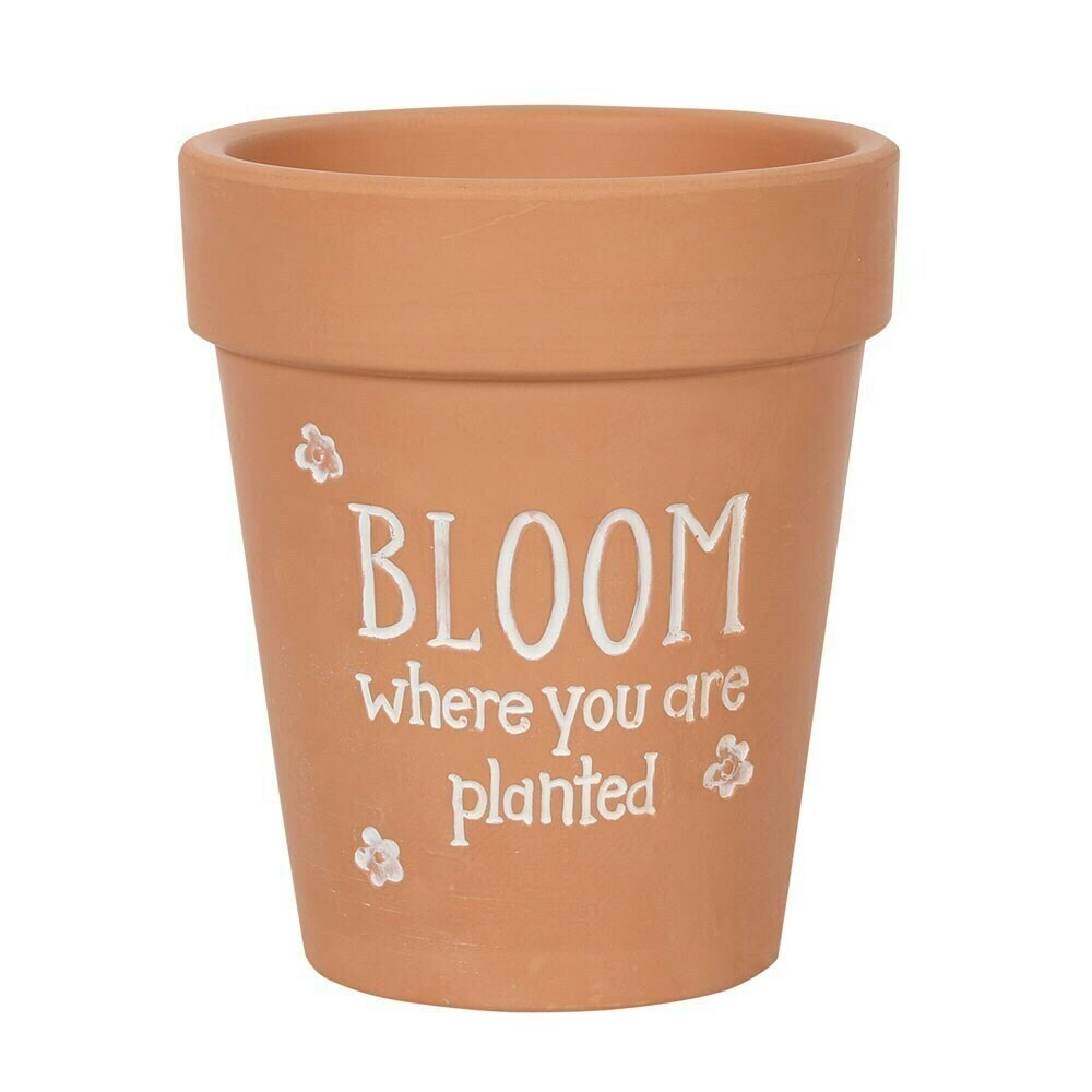 Something Different Bloom Where You Are Planted Terracotta Plant Pot - Brown/White - 17cm x 15cm x 15cm
