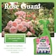 image 4 of Westland Rose Guard RTU 800ml Spray for Healthy Leaves Vibrant Colour Disease Protection and Stronger Blooms for Roses