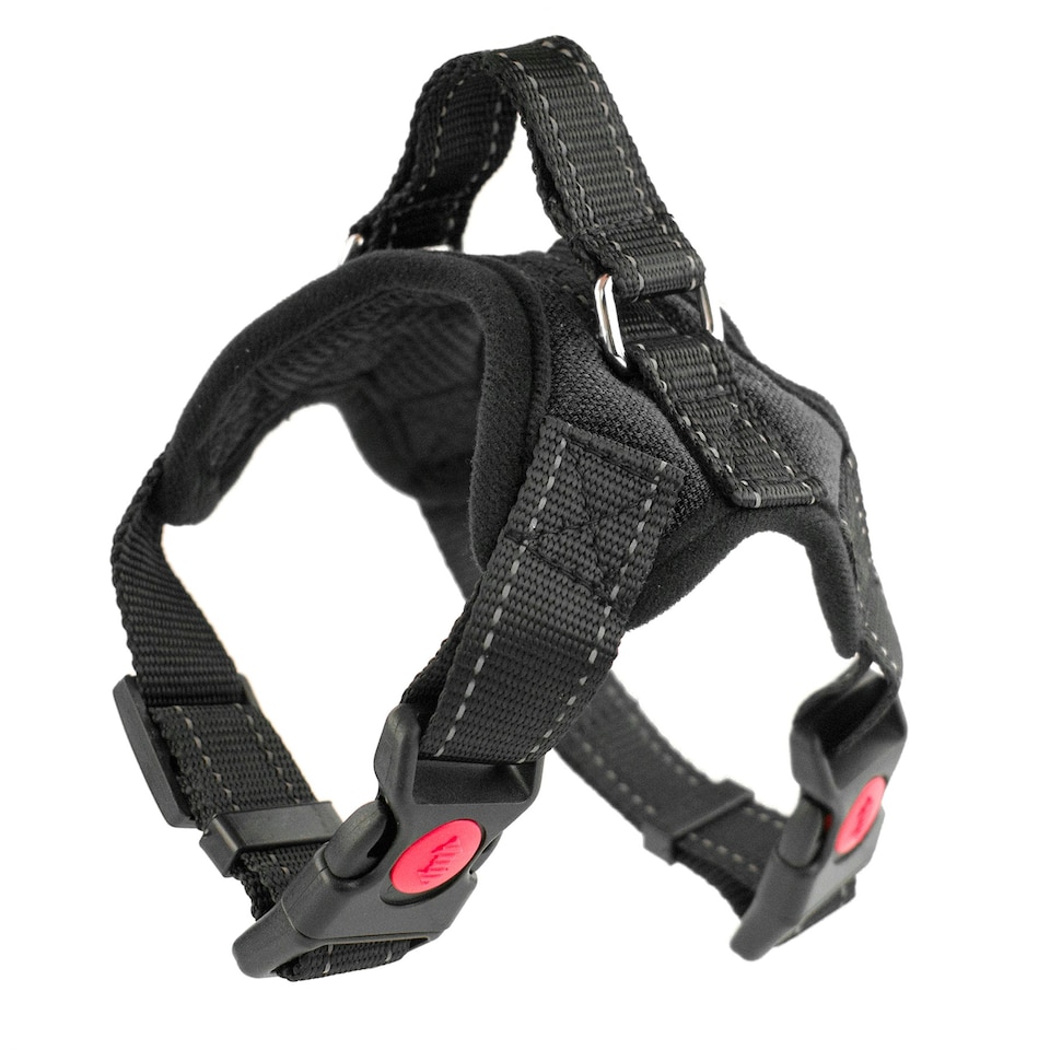 image 1 of KCT Extra Small Black Padded Dog Harness Black | XS