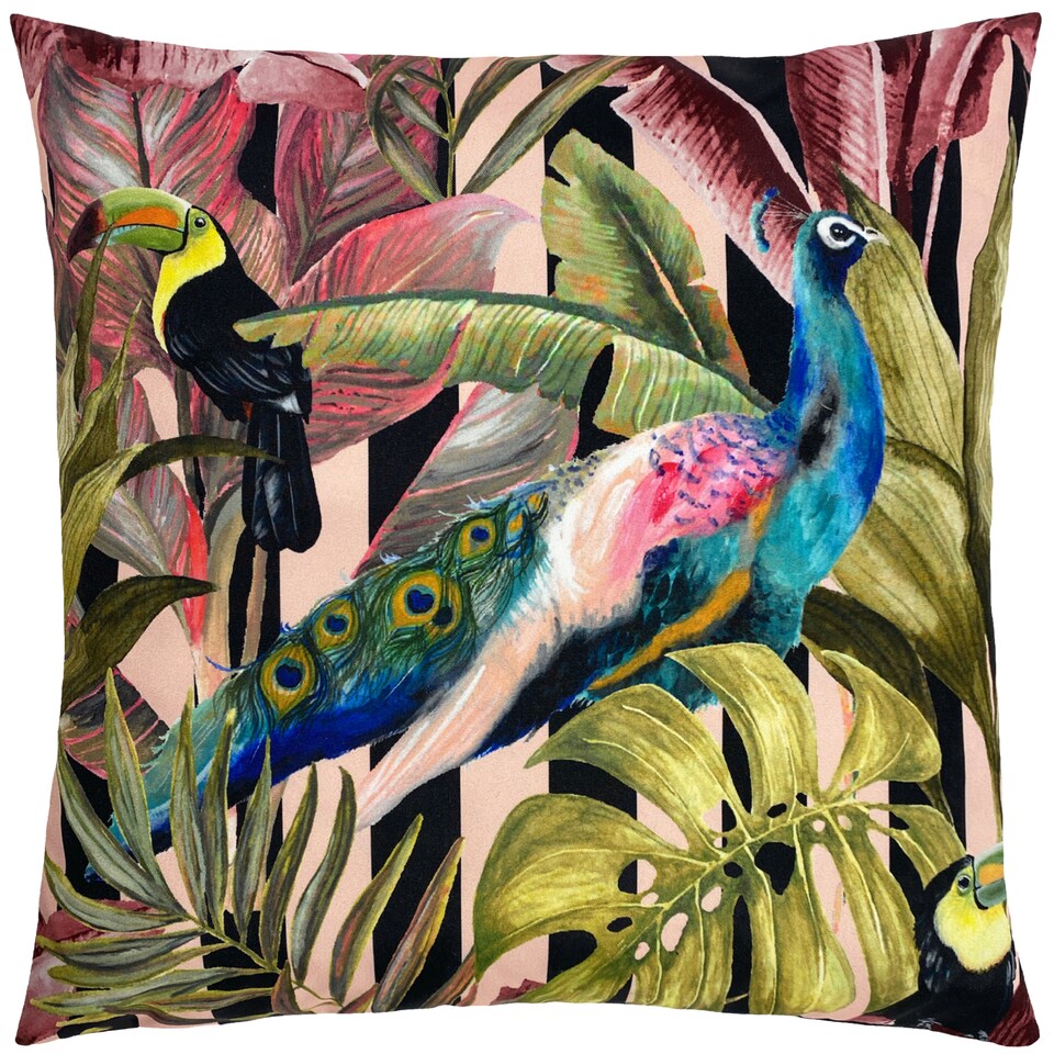 image 1 of Evans Lichfield Toucan and Peacock Outdoor Cushion