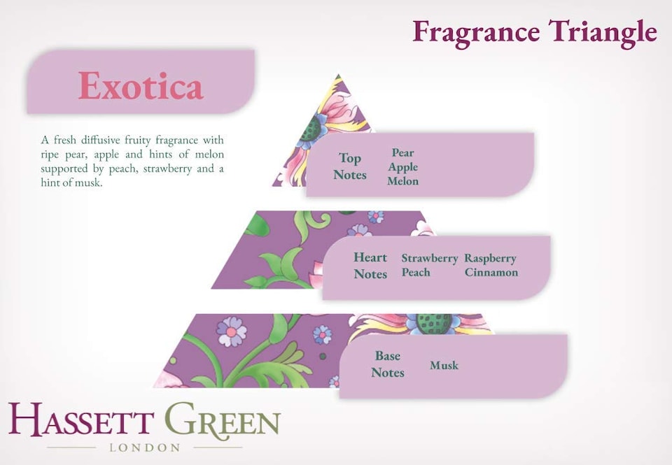 image 1 of Hassett Green London - Exotica Pear & Melon - Scented Wooden Balls Pack of 12 plus 30ml Bottle of Home Fragrance Oil for Refreshing - Alternative to Pot Pourri & Scented Diffusers