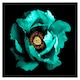 image 1 of Cyan peony flower (Picutre Frame) Black | M