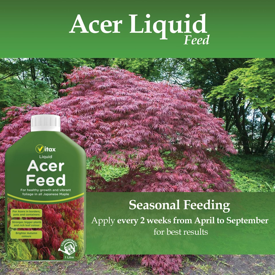 image 1 of Vitax Liquid Acer Feed 1L Concentrated Fertiliser for Japanese Maple Trees Acer Plants Vibrant Foliage and Root Growth