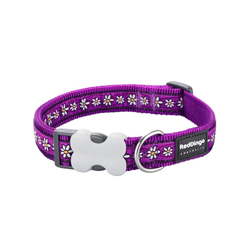 image 1 of Dog Collar Design Daisy Chain Purple Purple | M