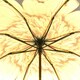 image 2 of Everyday Folding Umbrella Automatic Opening Reverse Sunflower Multi