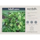 image 4 of Marshalls Garden Bright & Spicy Salad Seed Mix 500 Seeds | Multi | Purple | Seeds