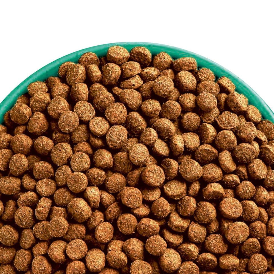 image 1 of James Wellbeloved Puppy Dog Food Lamb and Rice Kibble 2kg