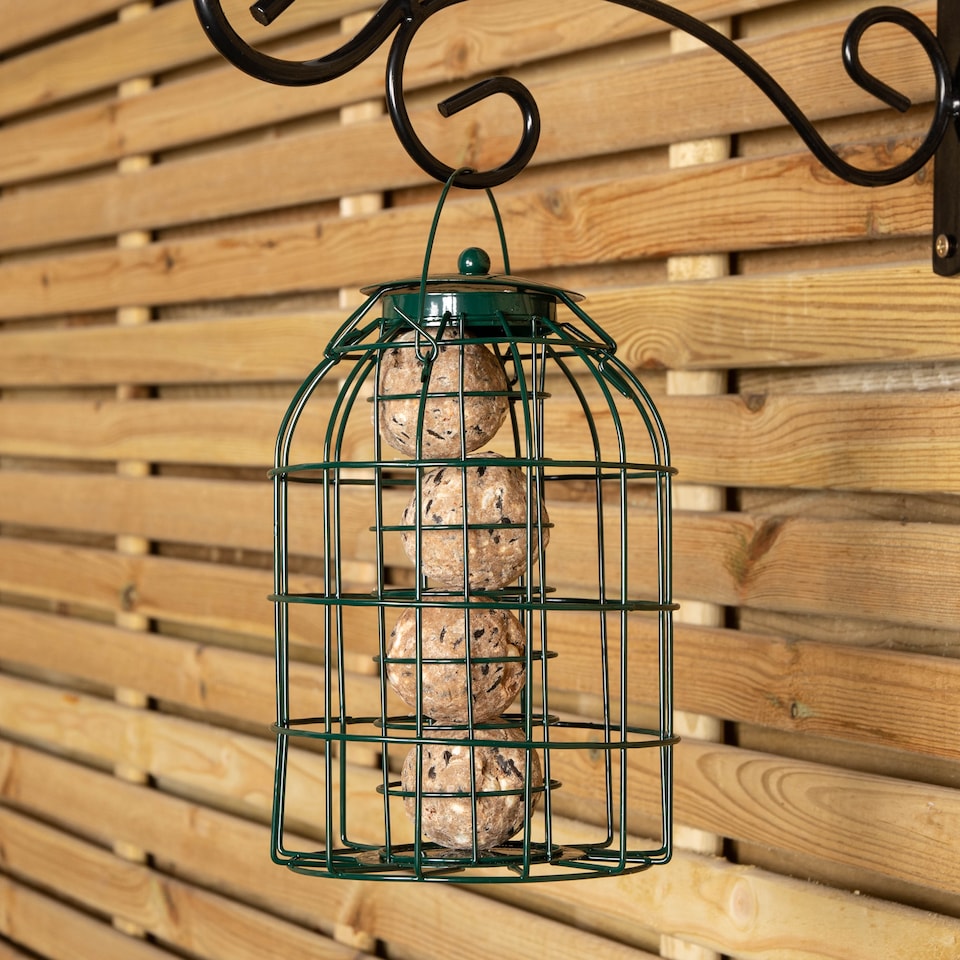 image 1 of Pack of 4 Wild Bird Fat Ball Feeder with Squirrel Guard