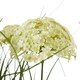 image 3 of Hill Interiors Allium Artificial Potted Plant - White - One Size
