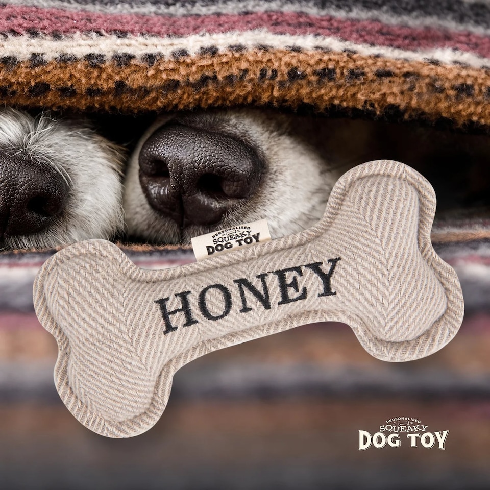 image 1 of History & Heraldry Pre-Personalised Squeaky Bone Dog Toy - Honey