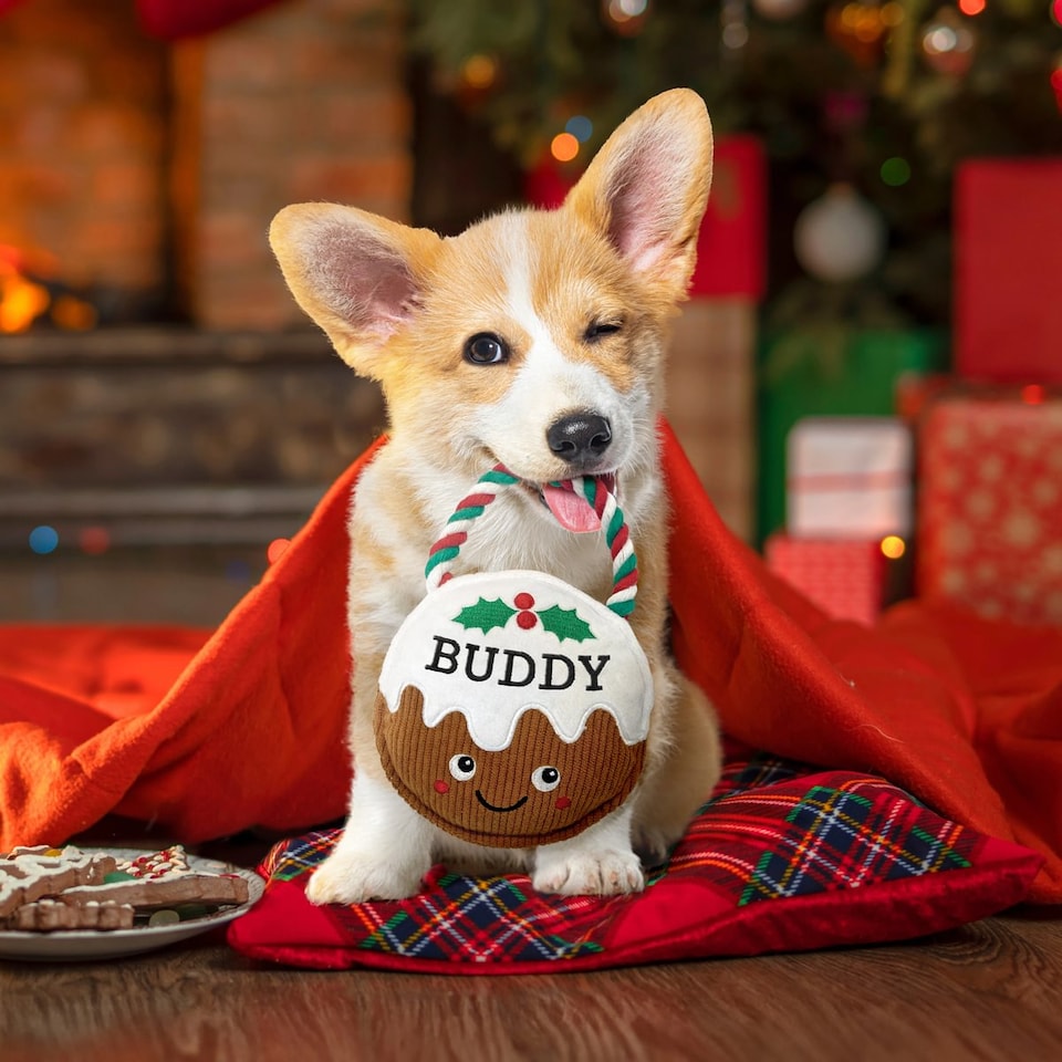 image 1 of Pre-personalised Christmas Dog Toy Gift - Over 80 Titles - Daisy