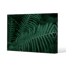 Plants background. Biophilia trend (Canvas Print) 46 x 31 x 4cm
