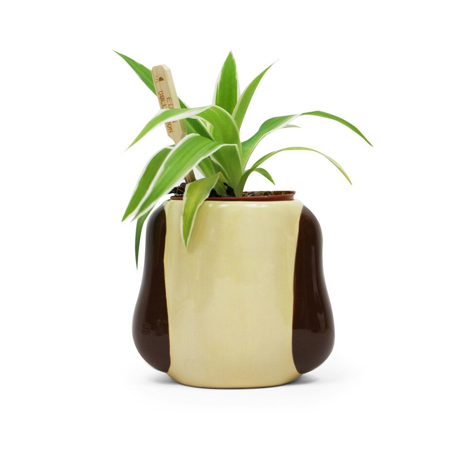 image 1 of Wallace & Gromit (Gromit) Plant pot