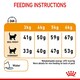 image 5 of Royal Canin Cat Hair & Skin Care - 10KG
