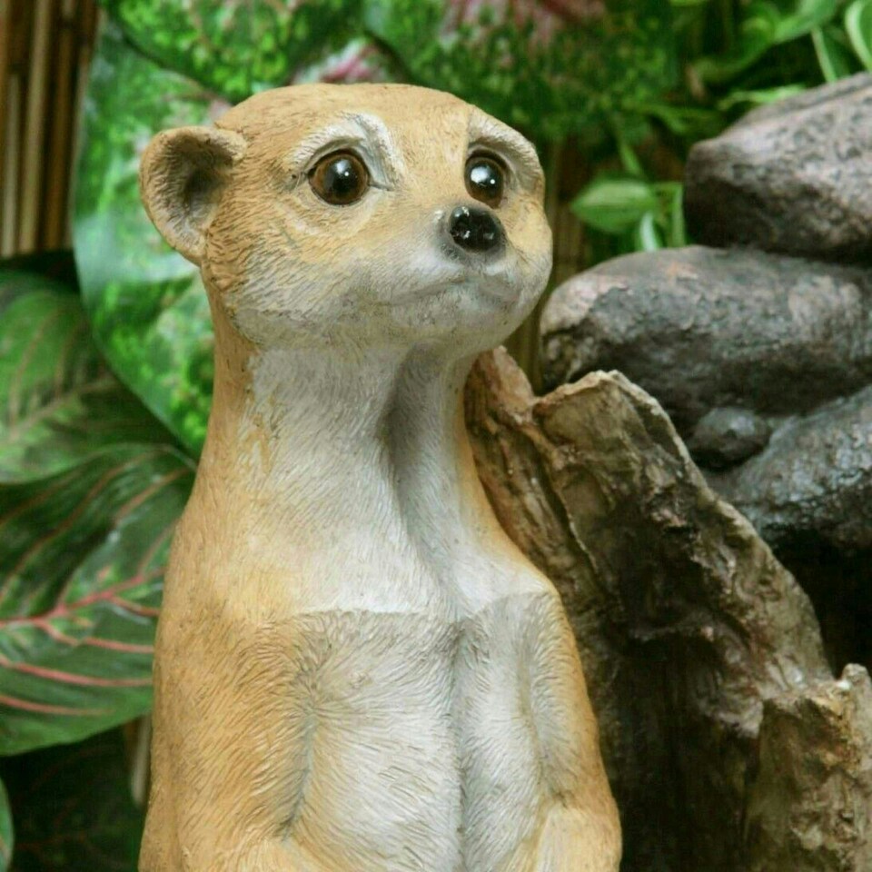 image 1 of Primrose Mob of Meerkat Falls Mains Powered Water Feature with Lights White 56cm