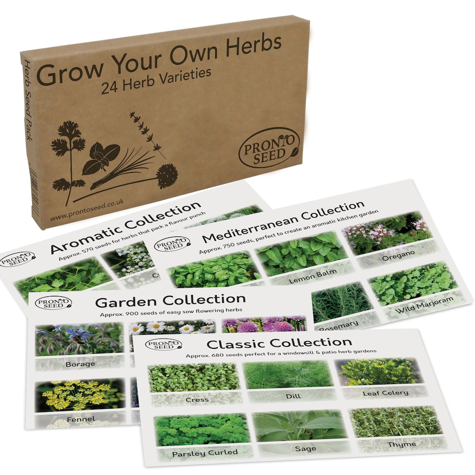 image 1 of Pronto Seed Herb Seeds Bumper Pack – 24 Culinary Herb Varieties, Over 2,600 Seeds for Kitchen & Garden Growing