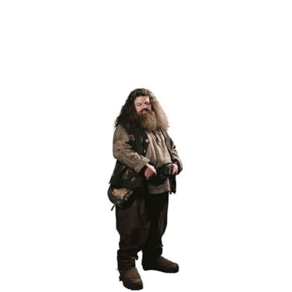 Harry Potter Rubeus Hagrid Robbie Coltrane Star Mini Cardboard Cutout 91cm