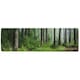 image 1 of Beautiful summer forest with different trees Designer (Runner Rug)
