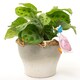 image 3 of Beatrix Potter Jemima Puddle-Duck Plant Pot Hanger - L11.5 x W5 x H6.5 cm