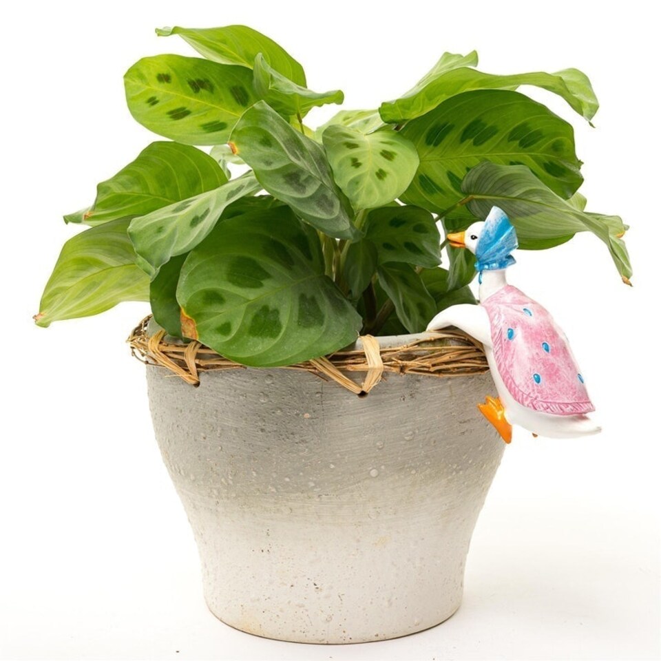 image 1 of Beatrix Potter Jemima Puddle-Duck Plant Pot Hanger - L11.5 x W5 x H6.5 cm