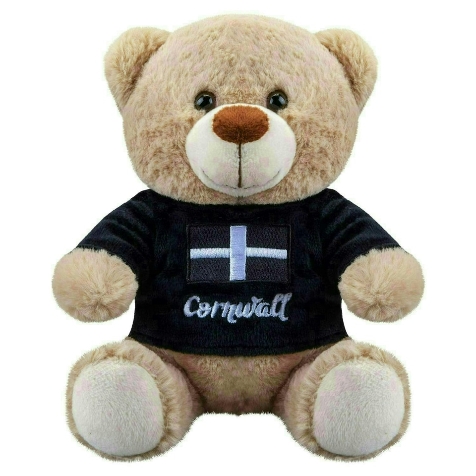 image 1 of Cornwall Bear Soft Toy Cute Plushie Huggable Cuddly Stuffed Toy Gift 20cm Black