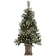 image 1 of HOMCOM 1.2m Prelit Christmas Tree with 100 Warm White LED Lights and 8 Modes